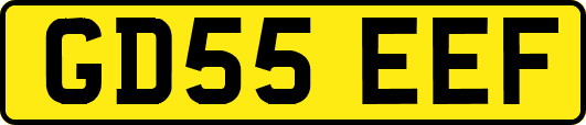 GD55EEF