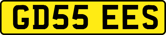 GD55EES