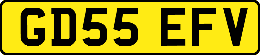 GD55EFV