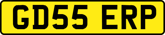 GD55ERP