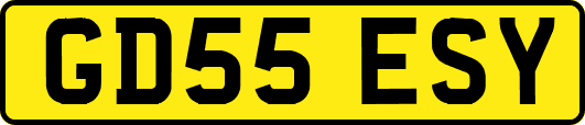 GD55ESY