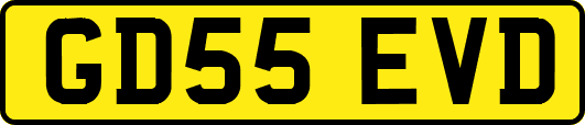 GD55EVD