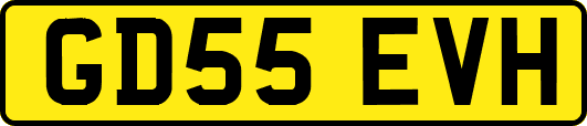 GD55EVH