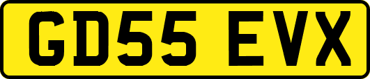 GD55EVX