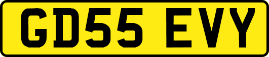 GD55EVY