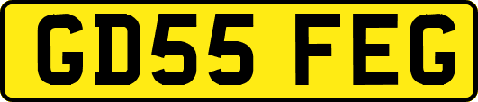 GD55FEG