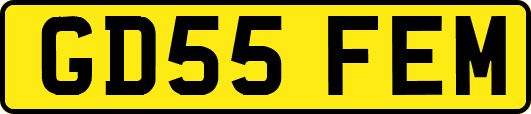 GD55FEM