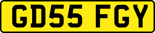 GD55FGY