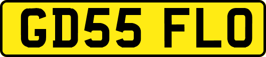 GD55FLO