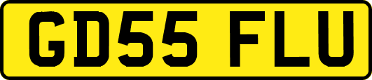 GD55FLU