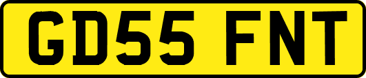 GD55FNT