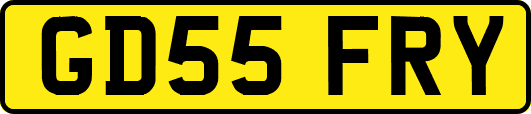 GD55FRY