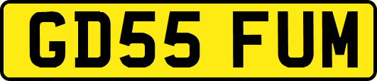 GD55FUM