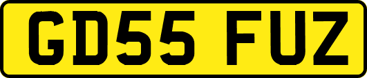 GD55FUZ