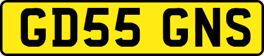 GD55GNS