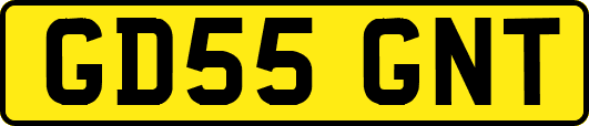 GD55GNT