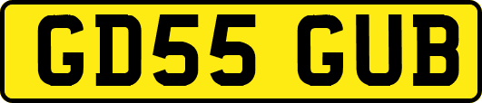 GD55GUB
