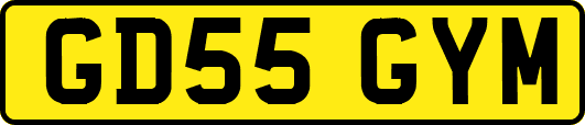 GD55GYM