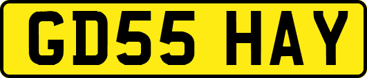 GD55HAY