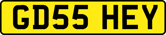 GD55HEY