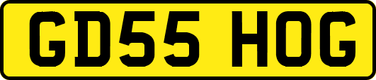 GD55HOG