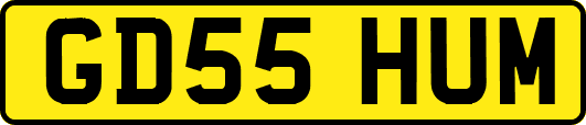 GD55HUM