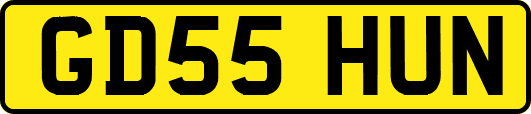 GD55HUN