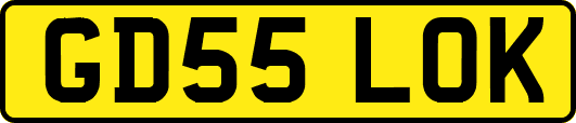 GD55LOK