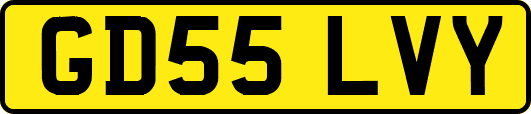 GD55LVY