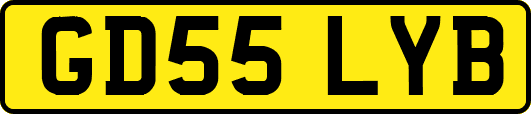 GD55LYB