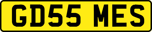 GD55MES