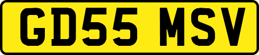 GD55MSV