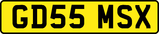 GD55MSX