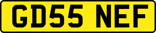 GD55NEF