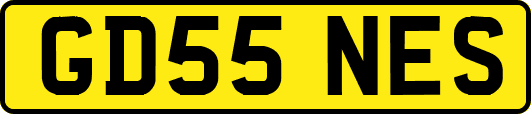GD55NES