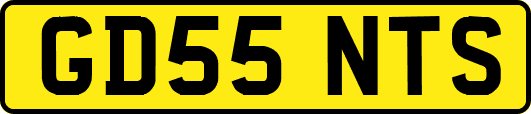 GD55NTS
