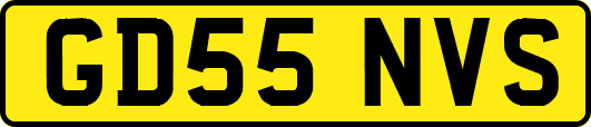 GD55NVS