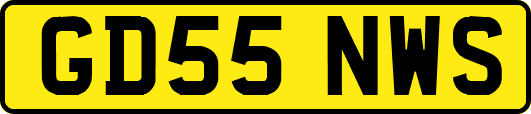 GD55NWS