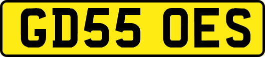 GD55OES