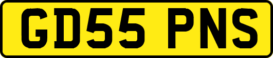 GD55PNS