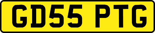 GD55PTG