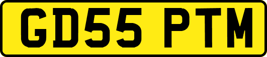 GD55PTM