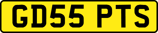GD55PTS
