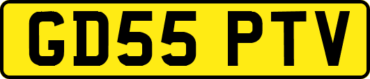 GD55PTV