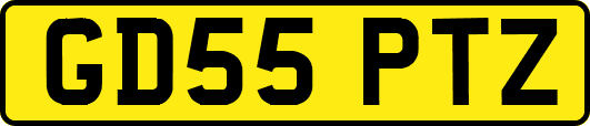 GD55PTZ