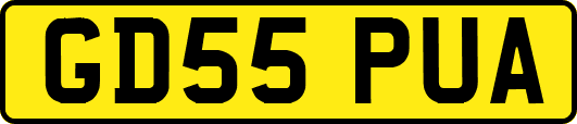 GD55PUA