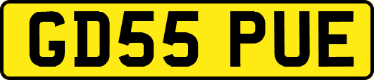 GD55PUE