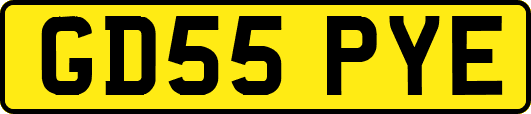 GD55PYE