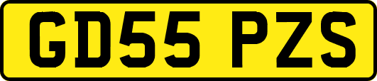 GD55PZS