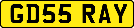 GD55RAY